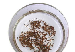 金六辦公用品店鋪裝修與產品展示圖片指南