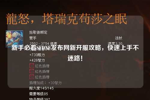 新手必看SFDNF發(fā)布網(wǎng)新開服攻略，快速上手不迷路！