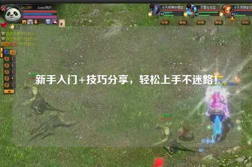 新手入門+技巧分享，輕松上手不迷路！