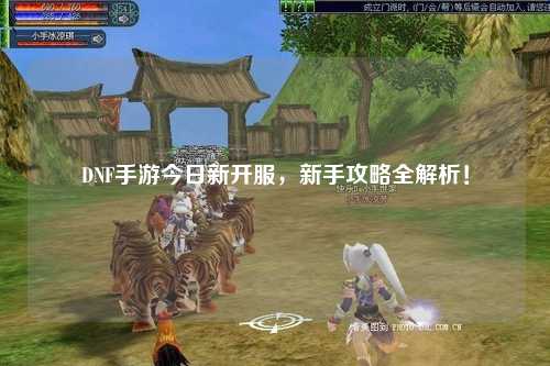 DNF手游今日新開服，新手攻略全解析！